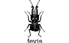 Les Talens Lyriques sont membres fondateurs de la FEVIS
