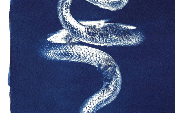 FLUTE SERPENT 1